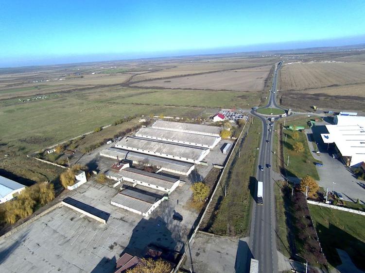 Hala pt depozitare 600 si 1200mp in Remetea Mare! Acces TIR - la sosea
