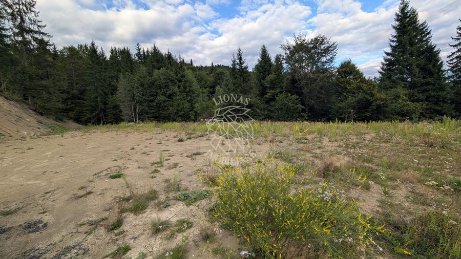 Parcele teren intravilan cu utilitati-panoramic-Colibita
