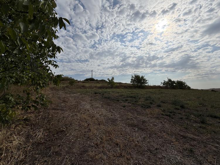 Oportunitate pentru dezvolatatori, 5800 m2, front de 52 m