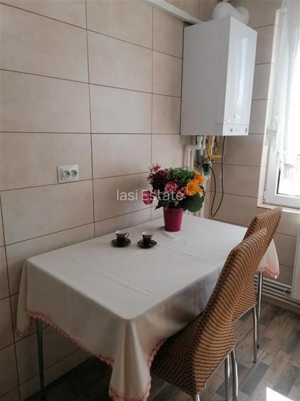 Apartament 2 Camere Alexandru cel Bun - Parcul Voievozilor - 13