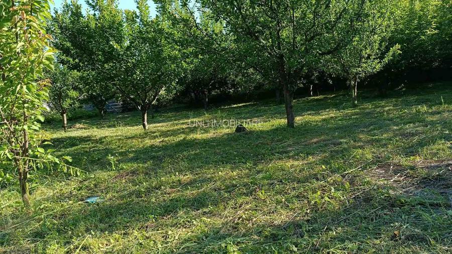 Teren intravilan Ciurbești – Miroslava, 1.000 mp, 36,5 m deschidere, 100 m de Centură 65.000 € - 7