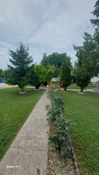 Snagov- Gruiu- Santul Floresti -Proprietate cu stil pentru oameni gospodari!