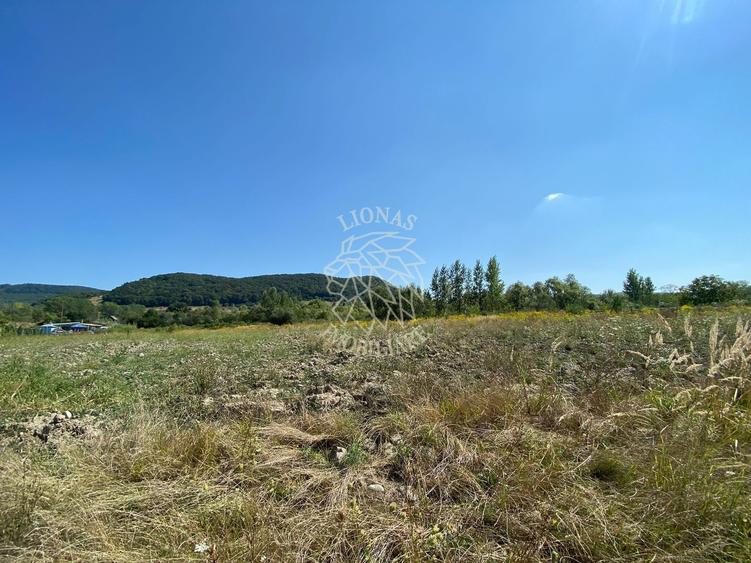 Teren 4100 mp - oportunitate investitie - Bistrita Zona Ranahum