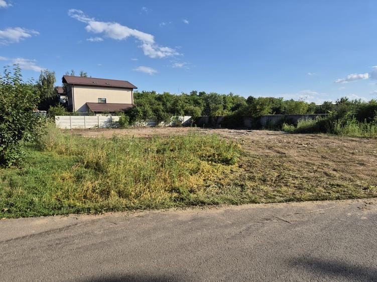 Clinceni str Ciocarliei,construibil,469mp,deschidere 21ml,utilitati,comision 0%