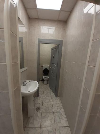 Zona bd. Th. Pallady - hala si birouri 550mp