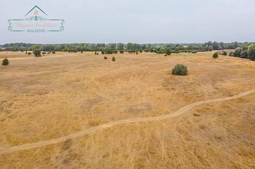 Teren extravilan 118 ha(pășune) cu deschidere la râul Mureș, Loc.Secusigiu, Arad