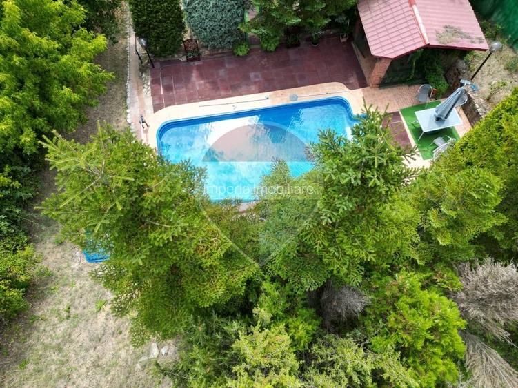 Leamna de sus, casa cu piscina, 2000mp - 8