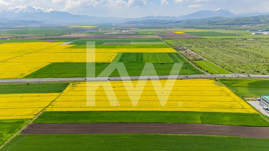 Teren 10.600 mp în Codlea – ideal pentru investiție industrială