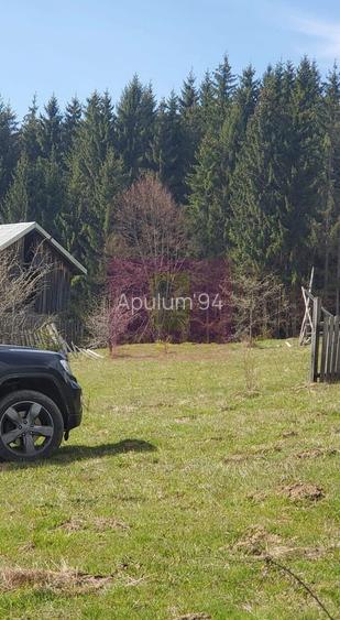 Teren intravilan 2500 mp in Valea Doftanei - 6