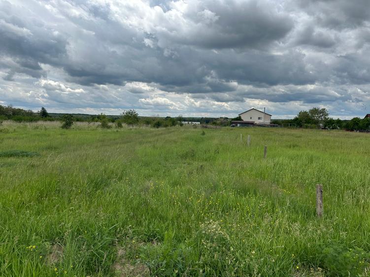 (302) Teren pentru dezvoltatori case Albota, langa Pitesti