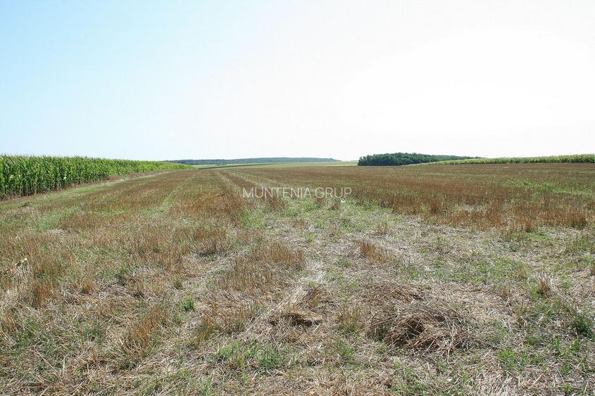 BELCIUGATELE - Complexul Valea Iazurilor, 19.720 mp. teren intravilan parcelabil - 6