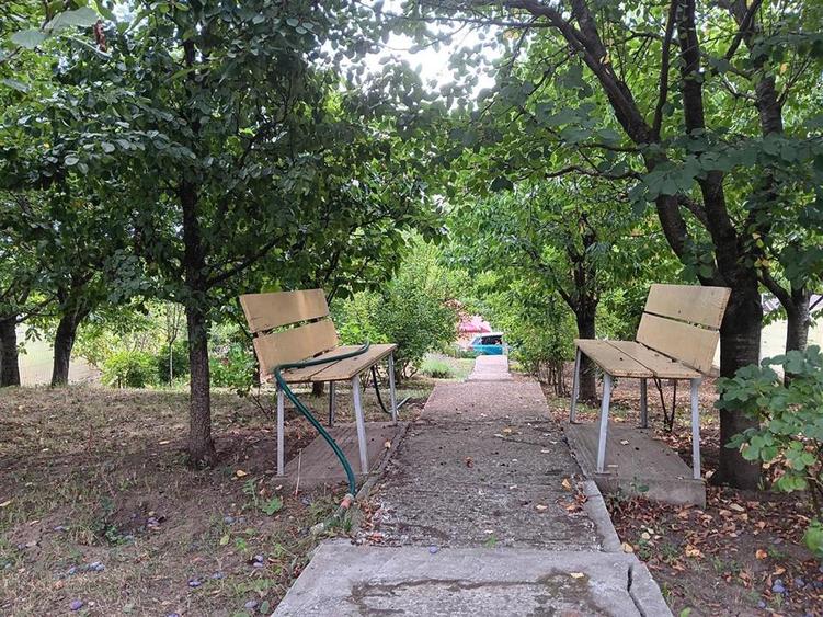 Rediu langa gradinita KiKi TEREN 500mp intravilan cu toate utilitatile
