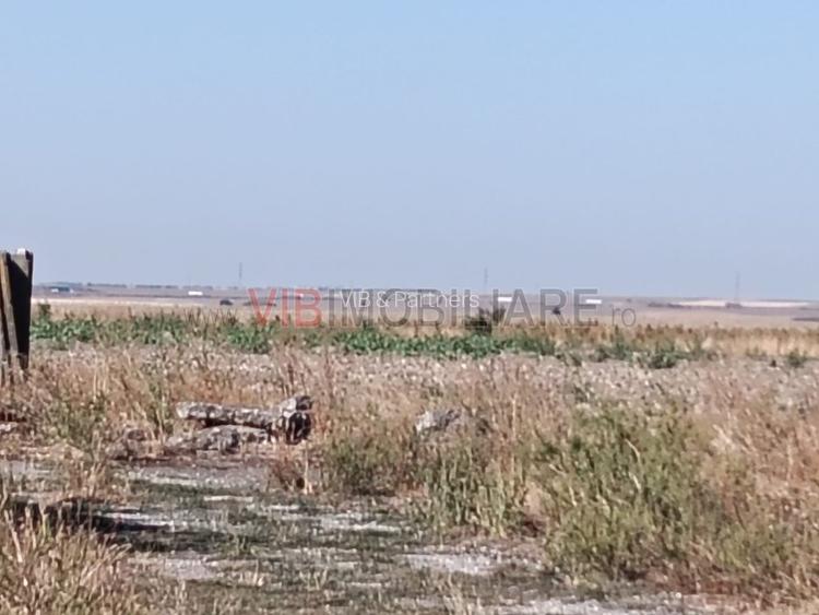 OPORTUNITATE DE INVESTIȚIE – PISCHIA, JUDEȚUL TIMIȘ - 5