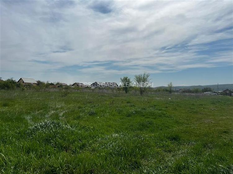Teren de vanzare in Dancu - 2