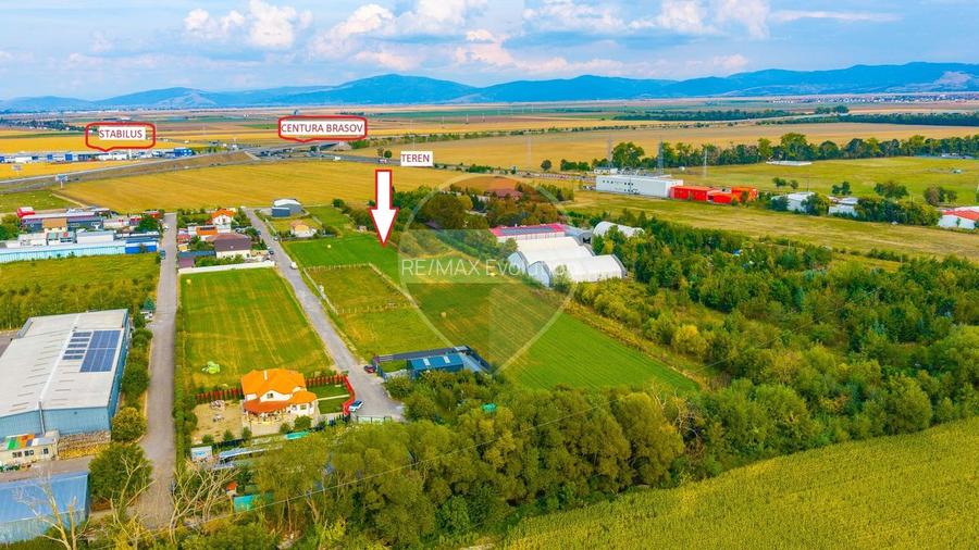 Teren intravilan 11.769 mp | Langa Centura BV – Str. Livezii | Oneves - 3