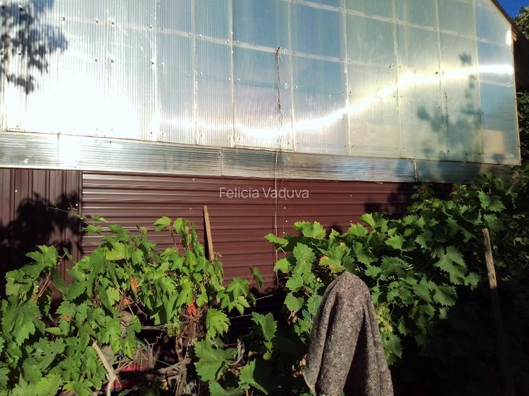 Vind casă nouă mansardă cu pomi fructiferi vita de vie cu 4 camerei baie buc - 8
