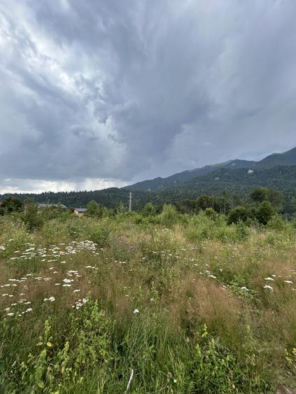 Teren intravilan, 1.724 mp, zona Sinaia