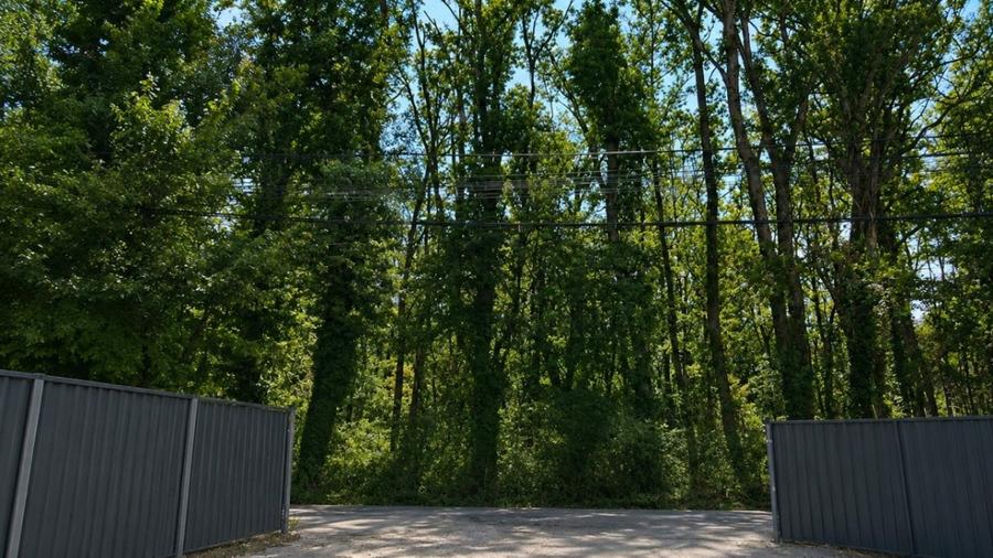REL4001313 Teren Aleea Teisani padurea Baneasa