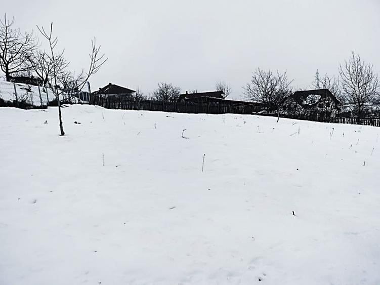 1400 mp. Deschidere 38 m Teren Intravilan CETATE Valea Popii utilitatile langa