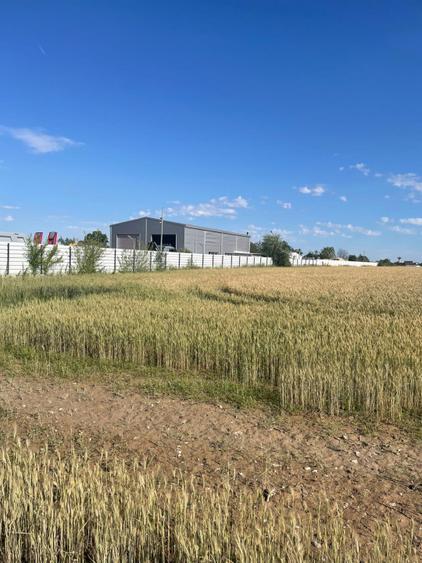 Teren Bragadiru-Clinceni tarla 15/1, 15/2