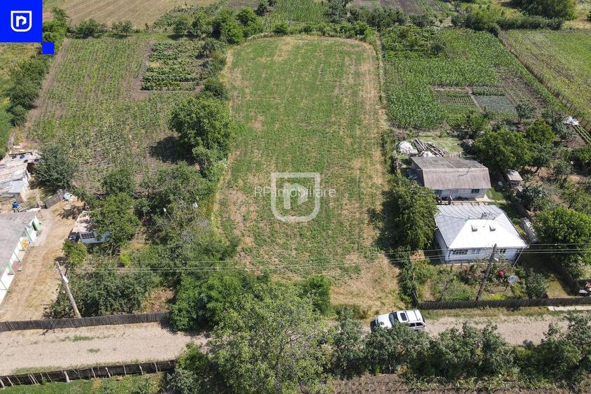 Teren - Ionășeni | BOTOȘANI | 3.285mp - 8