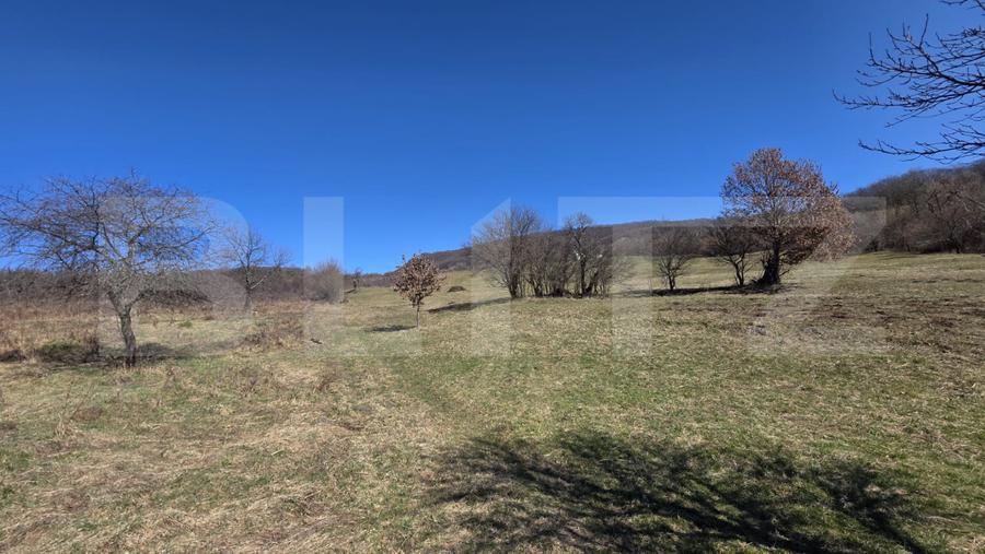 Teren de vanzare de 8,567MP in zona: Tarpiului