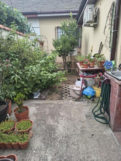 FALEZA NORD CASA CU 3 CAMERE 157 MP PRET 250000 EURO