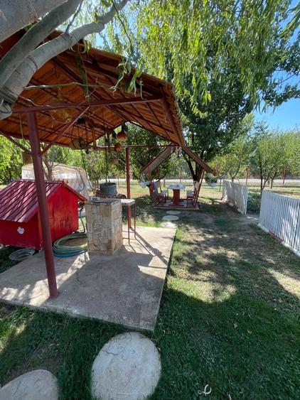 Refugiul Tău Verde: Casă Spațioasă cu Livadă, Anexe și Panouri Solare