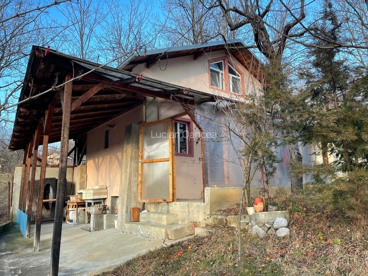 Vând casă Dp+P+M ,construcția C1 și terenul intravilan de 1265 mp - 12