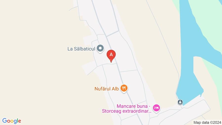 Casa in Delta Dunarii -Sat Caraorman Pret NEGOCIABIL ! - 4