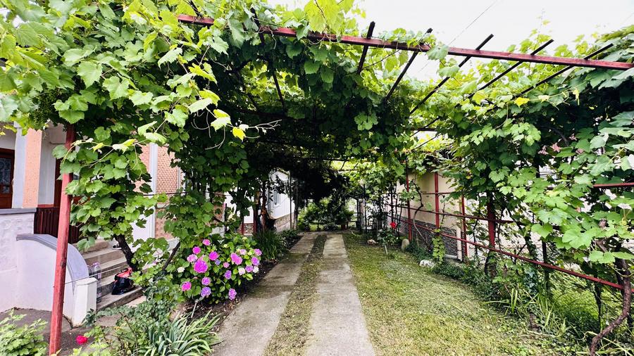 Casa de vacanta - Homoraciu