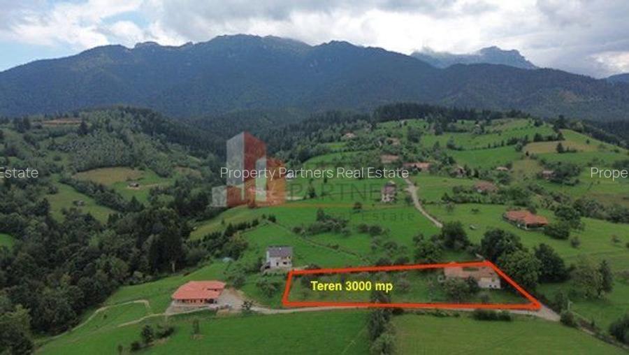 Teren intravilan 3.000 mp cu casă tradițională – Bran, sat Poarta - 11