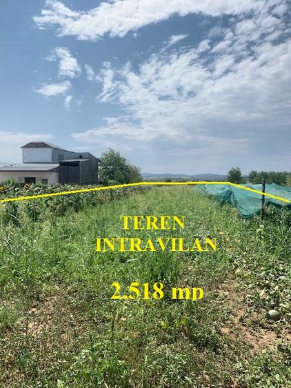 Casa cu 2.518 mp teren intravilan la drumul european, Sascut, jud. Bacau