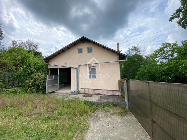 Domeniu 15.900 mp în Fințești | Casă + Investiție Dealu Mare