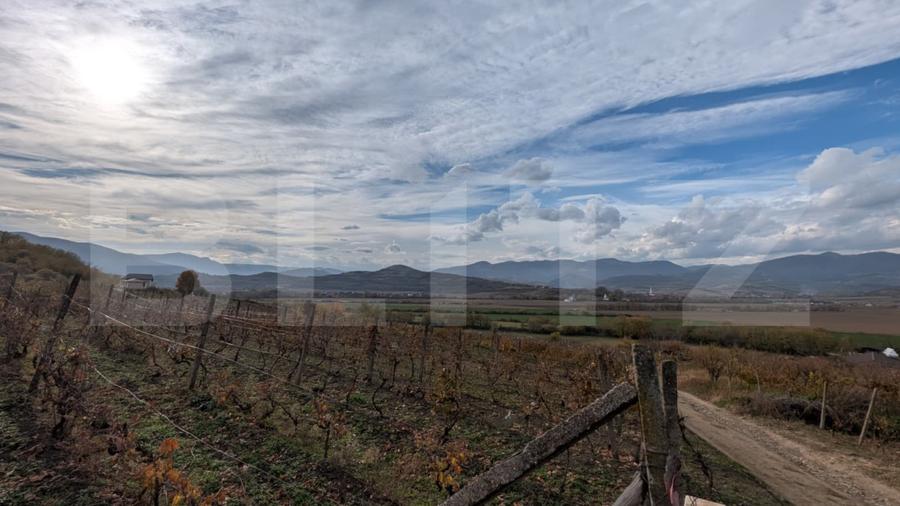 Teren pretabil pentru cabana, cu view