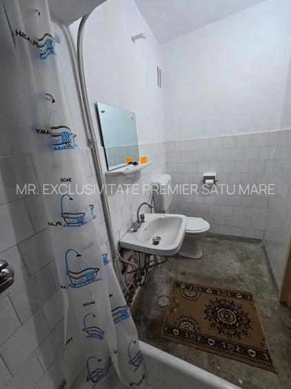 De vânzare apartament 4 camere Careiului Satu Mare - 9