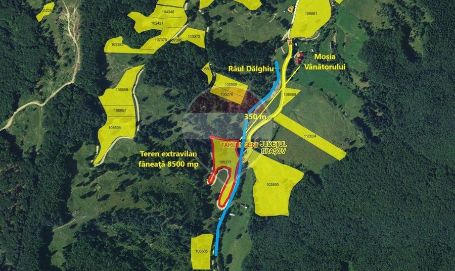 Teren 8500 mp, Valea Dălghiului - Vama Buzăului - vedere către Ciucaș