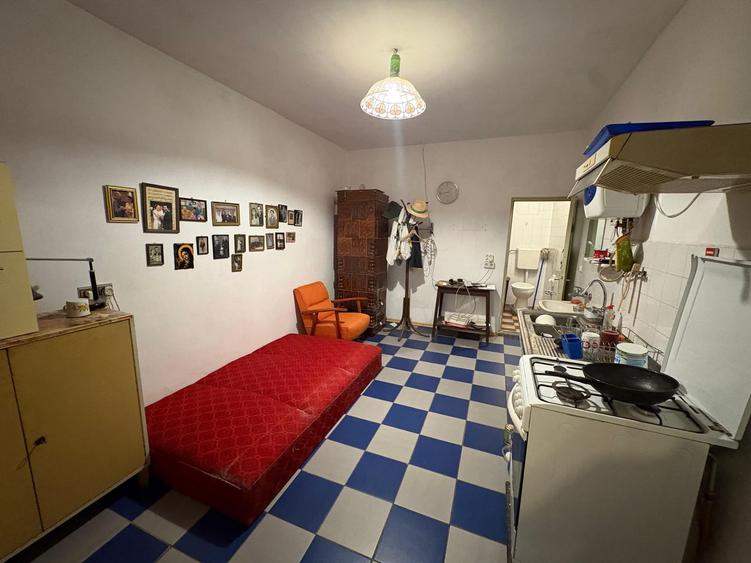 CASA DE VANZARE IN NERAU