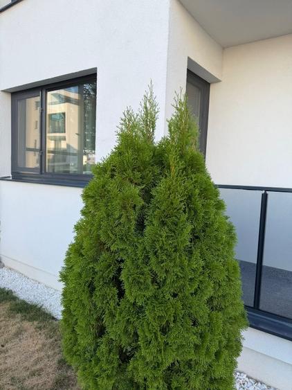 Apartament 2 camere de vanzare - Darwin Residence