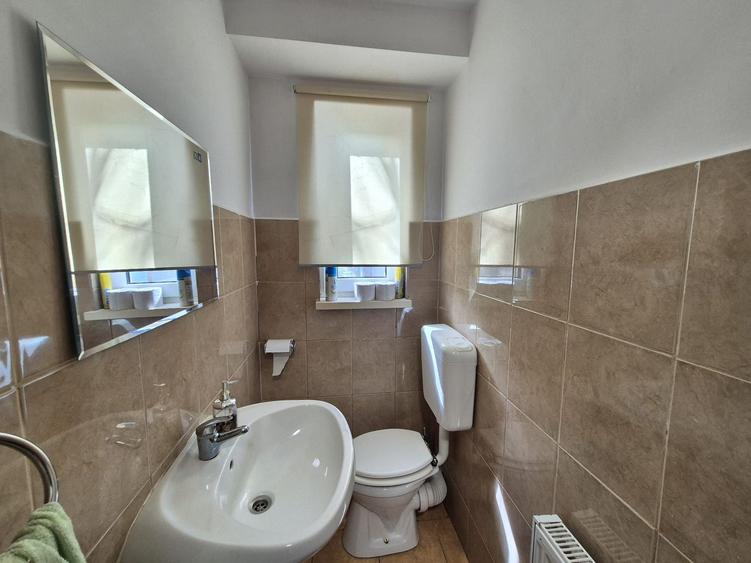 Casa P+1 din lemn - Mihailesti