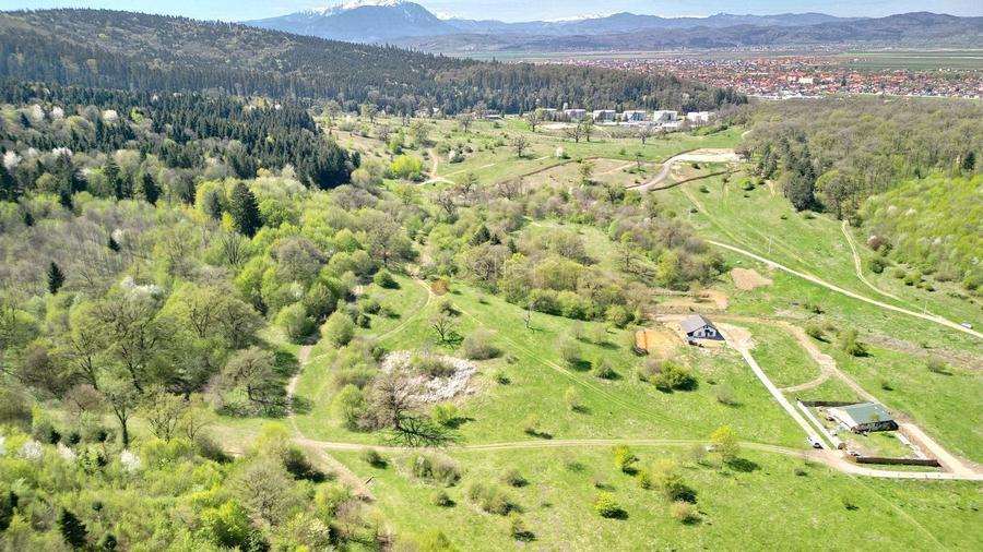 Teren Intravilan parcele 1000mp