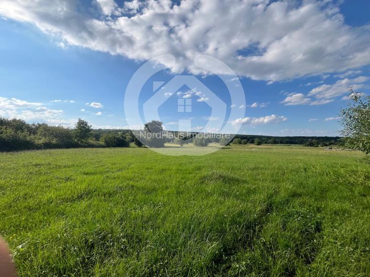 Teren intravilan constructii 6668 mp - Rasinari, Sibiu - 4