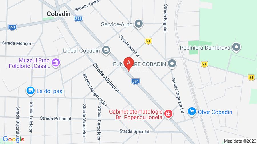 Casa de vanzare Cobadin- str. Primaverii