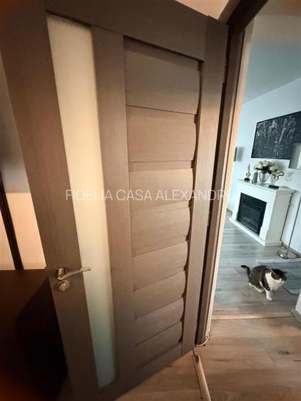 Apartament cu 3 camere decomandat Alexandru 74 mp - 14