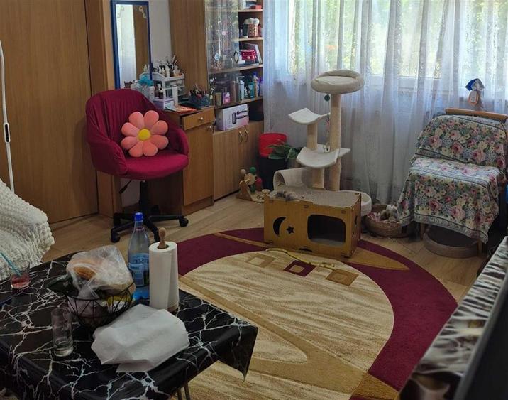 Apartament Etaj 2 Bloc Izolat zona Sagului