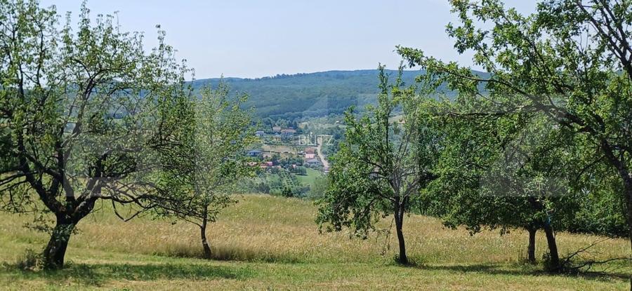Teren extravilan de 1000 mp, situat pe strada Ghinzii - 3
