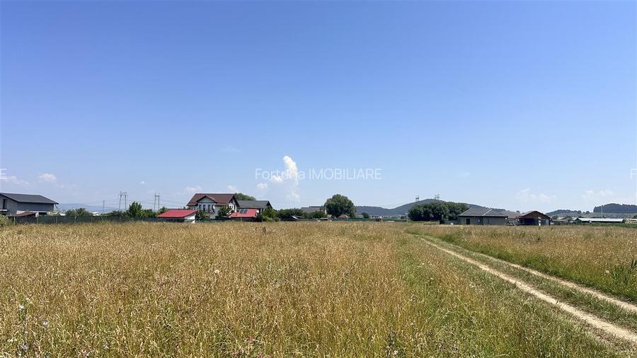 Teren intravilan cu Puz - Sanpetru 10 parcele de 600 mp - 12