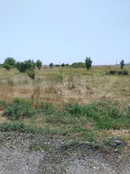 Parcele intravilan, 500 mp, str Constantei, langa Eurocartier - 4