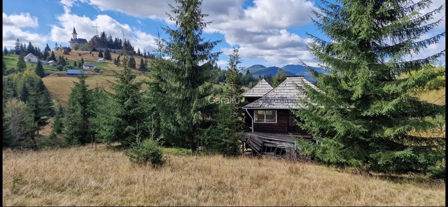 Teren intravilan Piatra Fantanele 17000 mp cu deschidere DN17