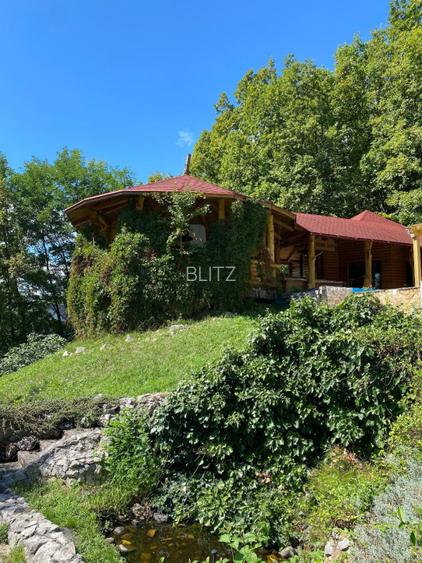 Domeniu exclusivist 17.000 mp | Vilă luxury cu piscină & SPA – Cărbunari - 2